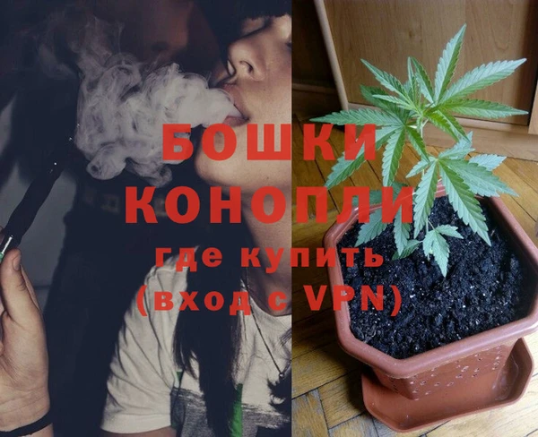 спайс Козловка