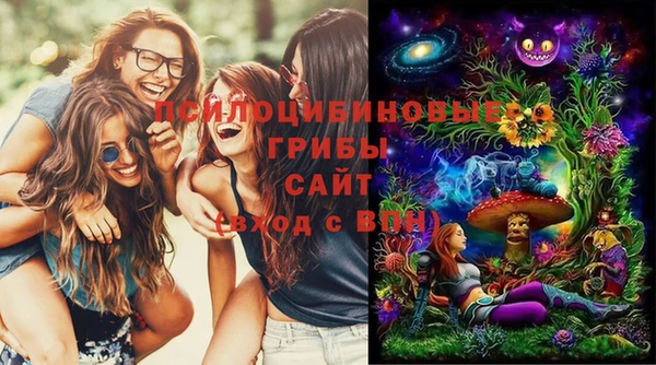 спайс Козловка