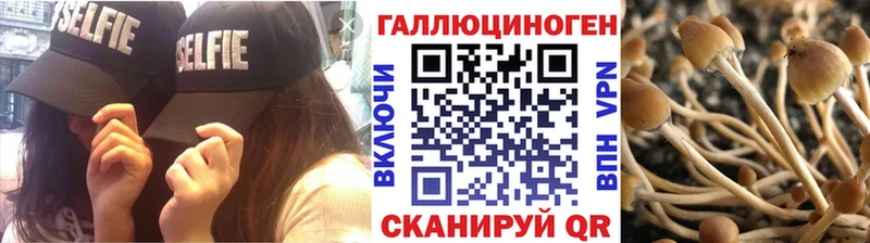 Купить где  Дудинка  Галлюциногенные грибы Cubensis 